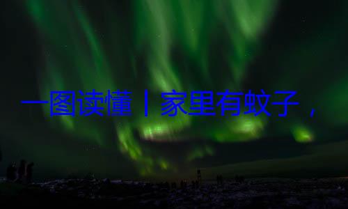 ，这样做速战速决不挨一图读懂丨咬家里有蚊子